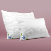 polstar bamboo 1